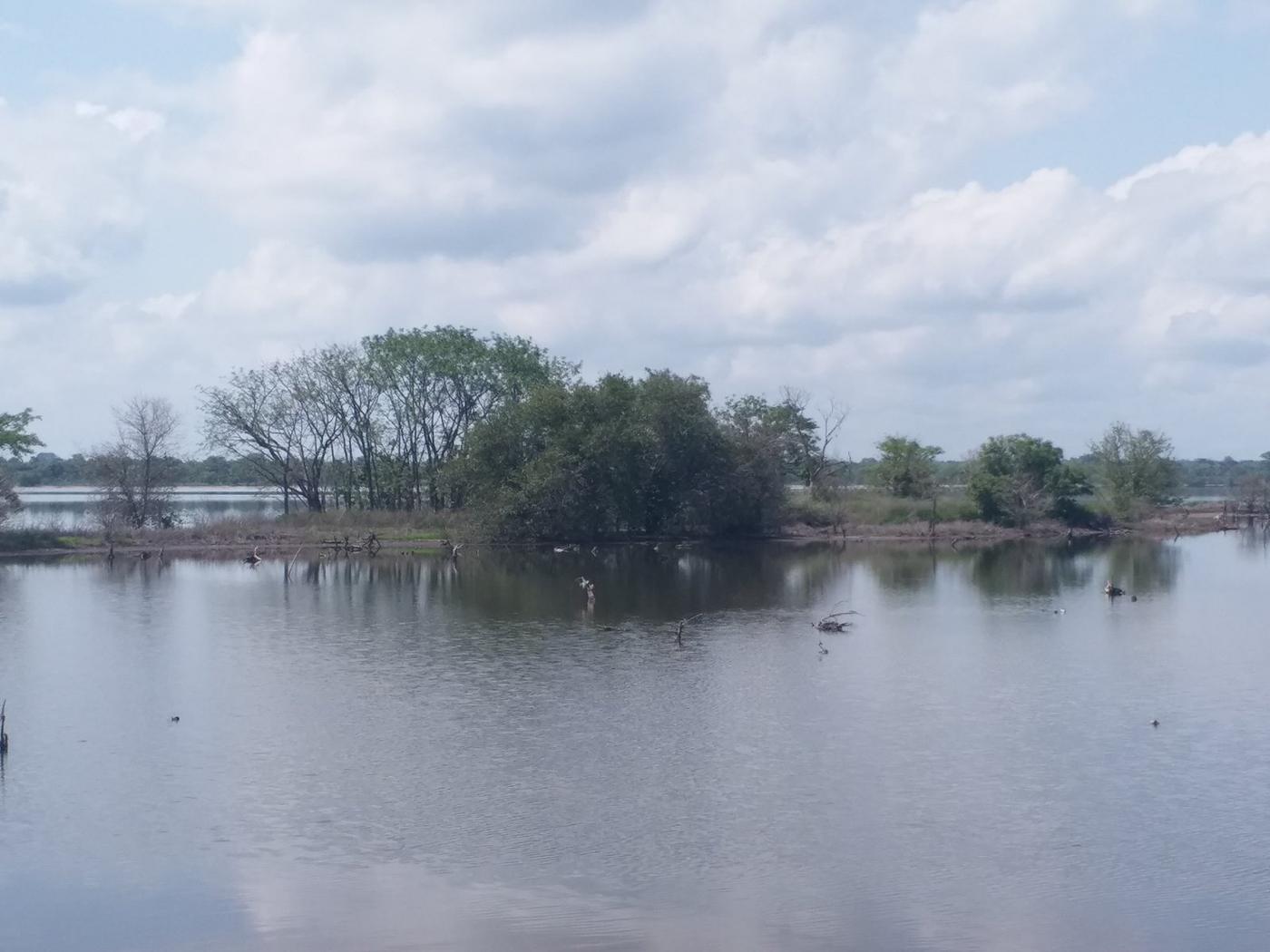 Mangrove and open water in Casamance